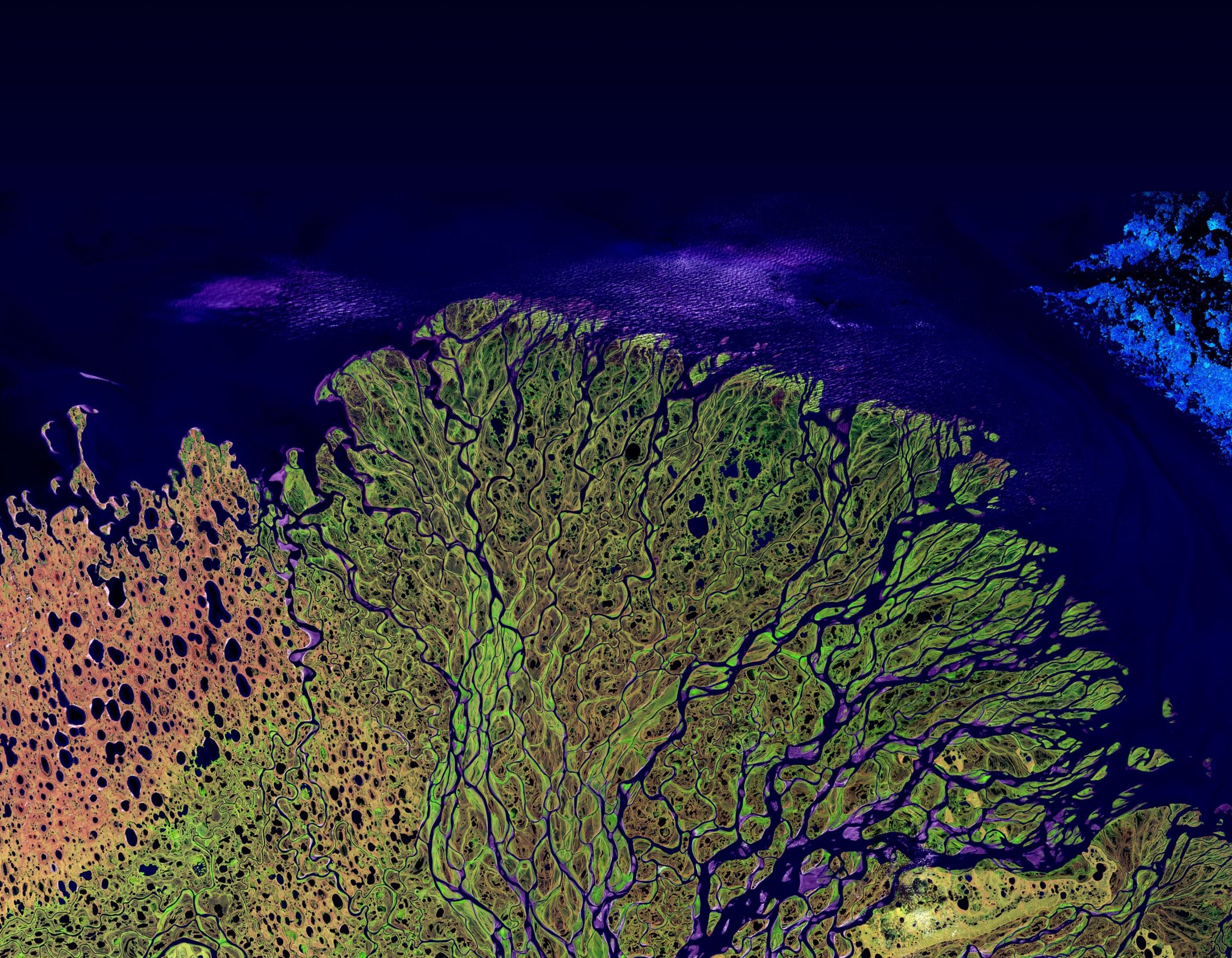 False-colour satellite view of a braided river delta